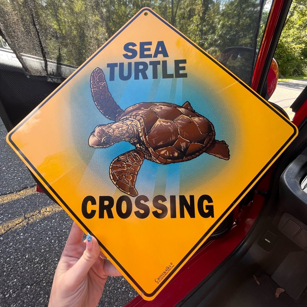 Beach road sign! Perfect condition